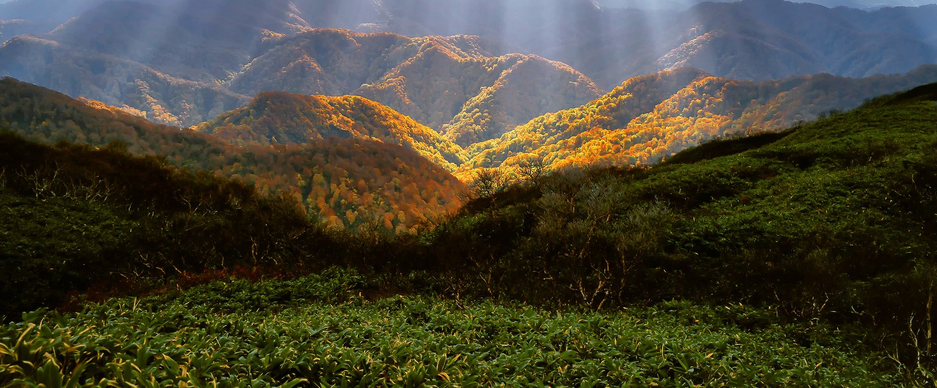 Ispezione grande area verde